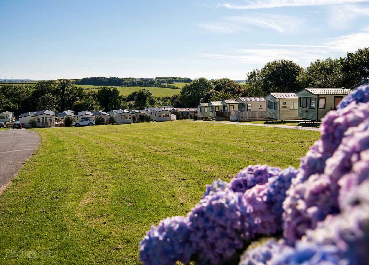 Trevella Holiday Park New Quay Exteriér fotografie