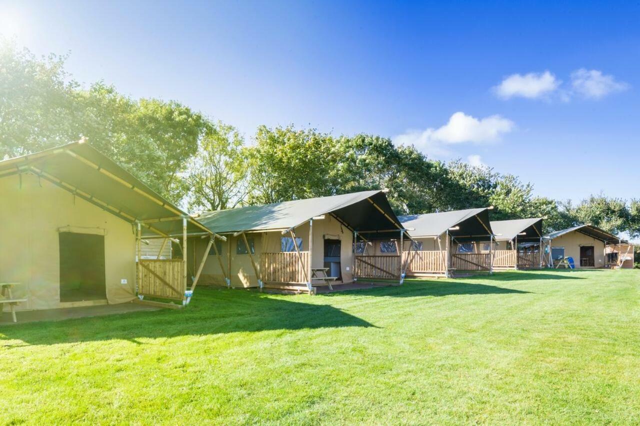 Trevella Holiday Park New Quay Exteriér fotografie
